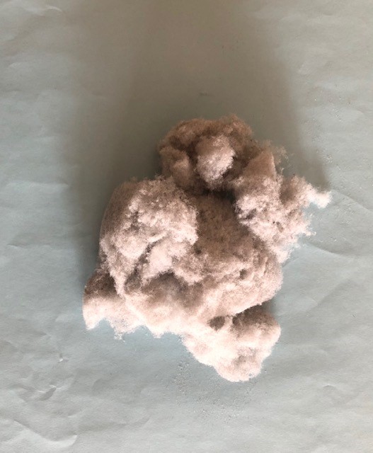f:id:kumato117:20190512232344j:plain