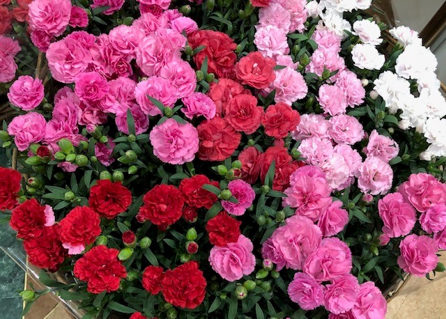 f:id:kumato117:20190512235505j:plain
