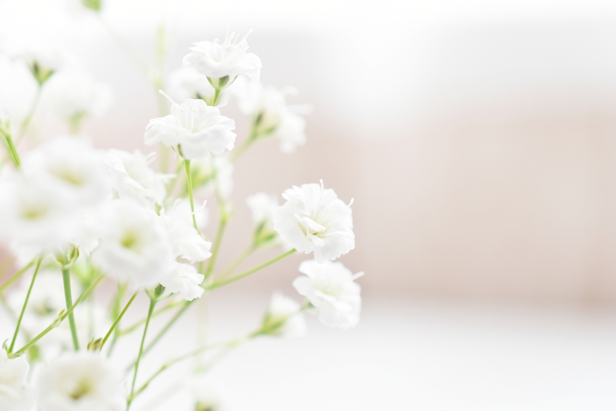 f:id:kumato117:20190521152255j:plain