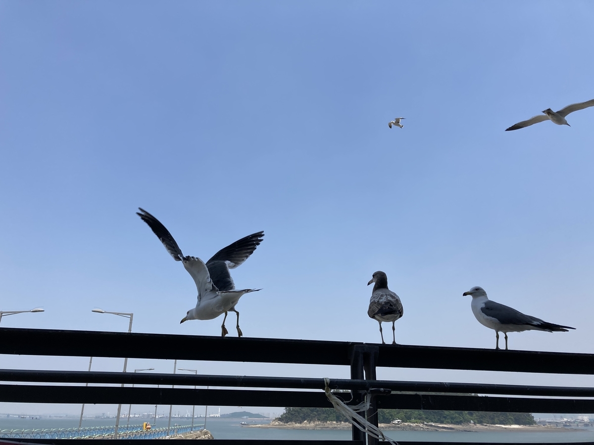 f:id:kumawaka:20210513183136j:plain
