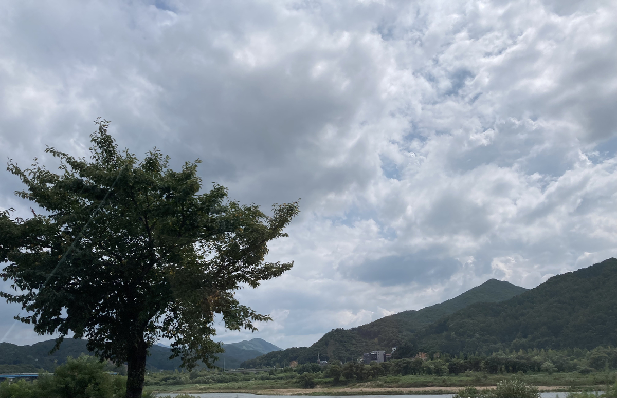 f:id:kumawaka:20210818155646j:plain