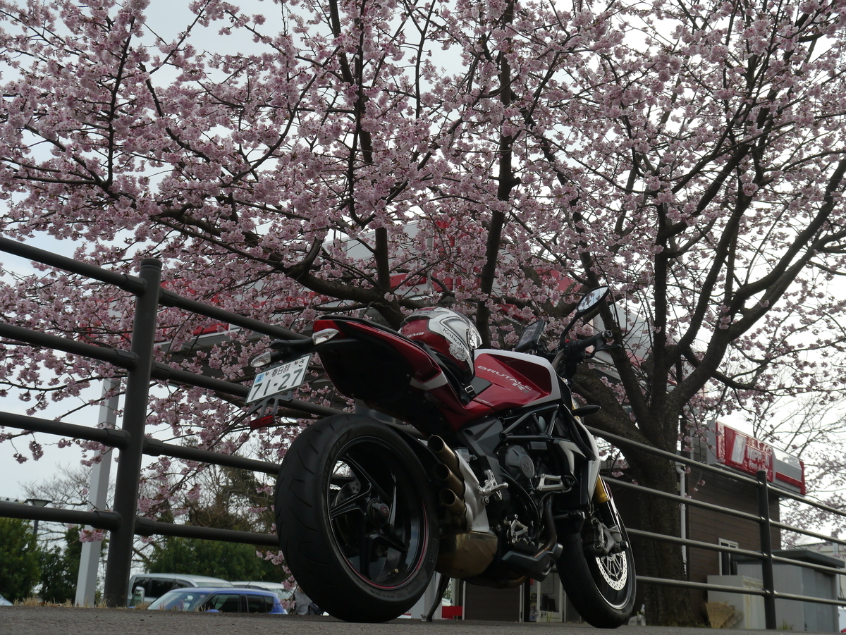 f:id:kumawo0017:20160304154851j:plain