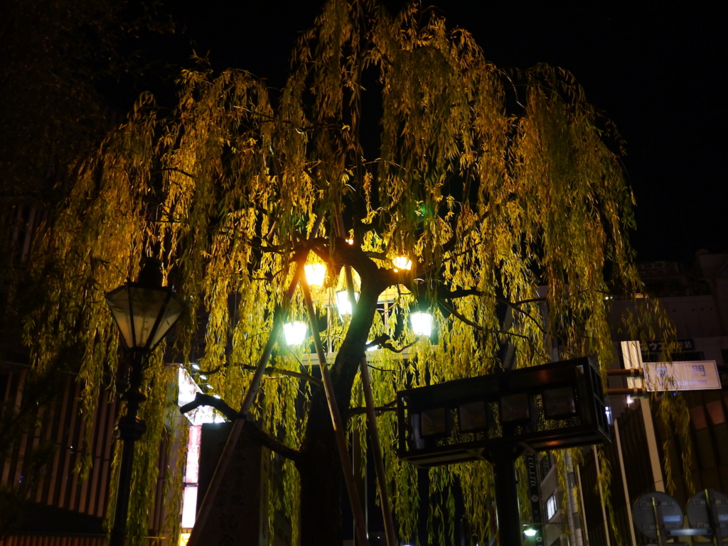 f:id:kumawo0017:20161230004131j:plain f:id:kumawo0017:20161230004131j:plain