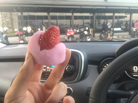 f:id:kumawo0017:20170103163023j:plain f:id:kumawo0017:20170103163023j:plain