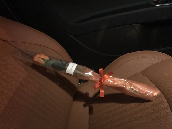 f:id:kumawo0017:20170128211307j:plain f:id:kumawo0017:20170128211307j:plain