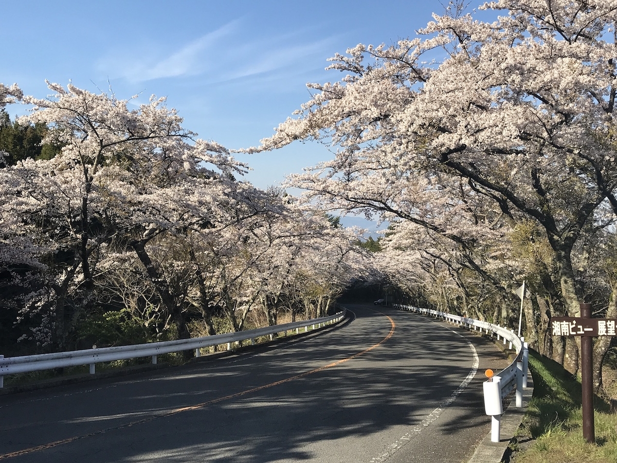 f:id:kumawo0017:20190413155236j:plain