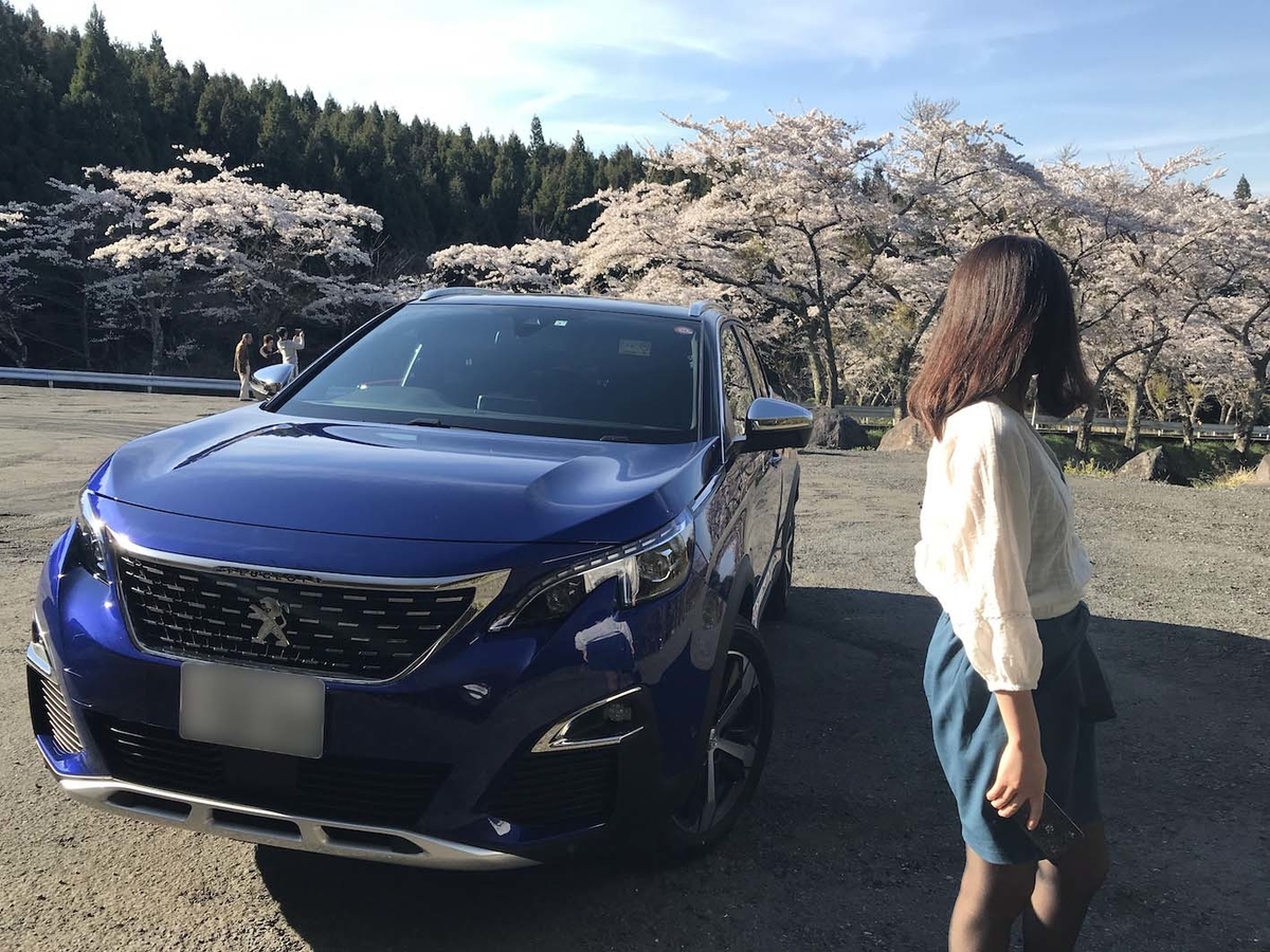 f:id:kumawo0017:20190413155410j:plain