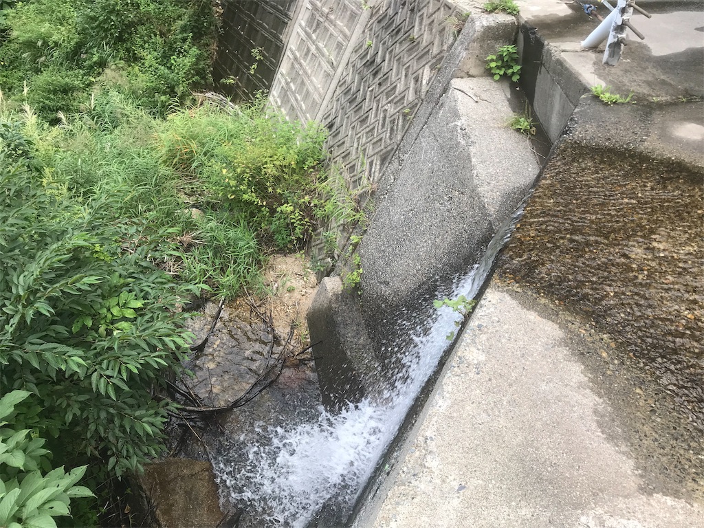 f:id:kumawo0017:20190909130519j:plain