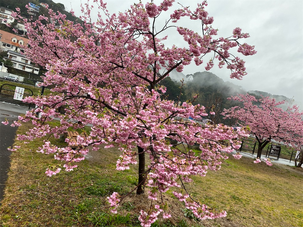 f:id:kumawo0017:20200217003509j:plain f:id:kumawo0017:20200217003509j:plain