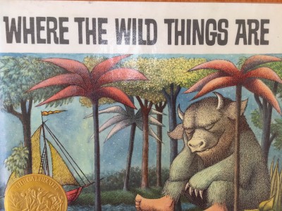 子供たちに読み聞かせをしたい英語の絵本「where the wild