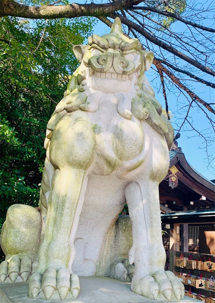 f:id:kumayou666:20210203235201j:image