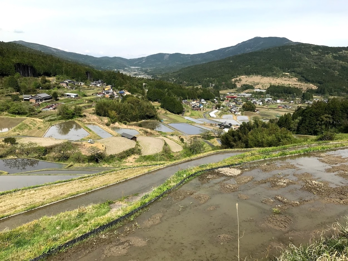 坂折棚田