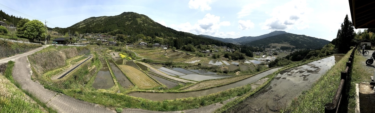 坂折棚田