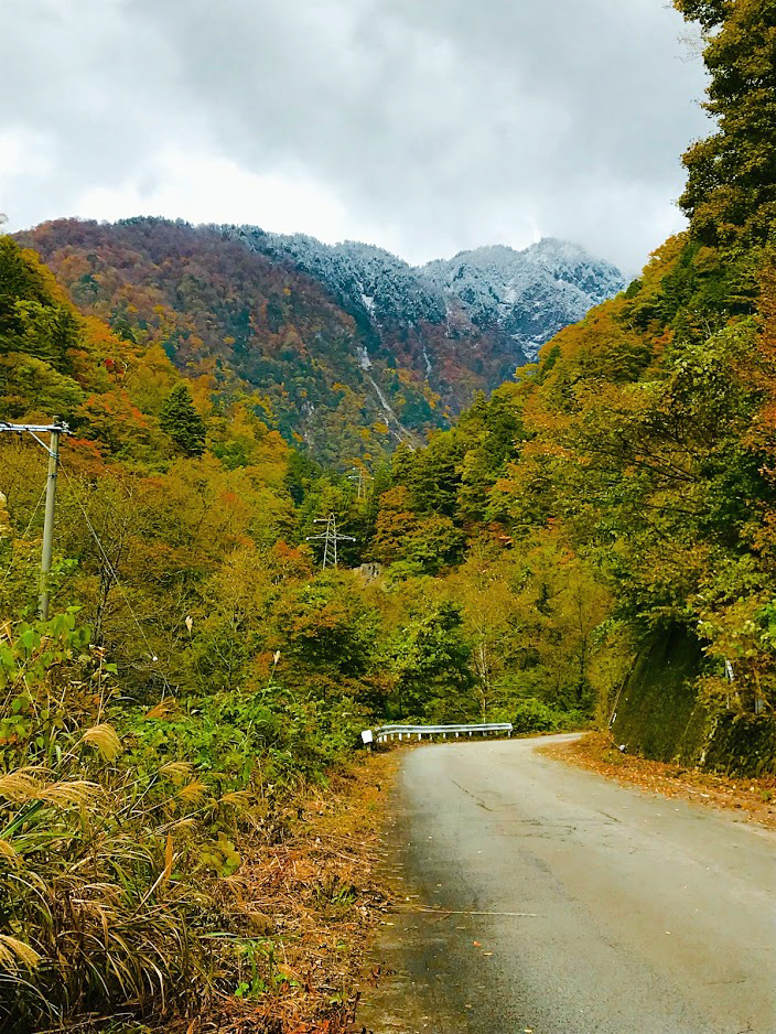 紅葉と雪　県道白山公園線