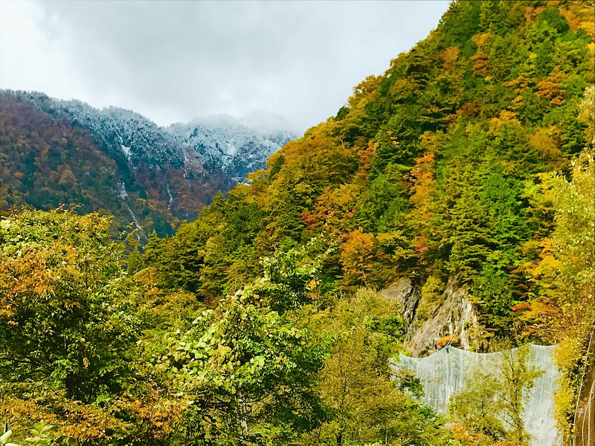 紅葉と雪　県道白山公園線