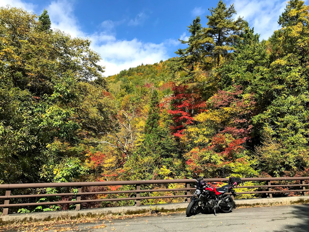 紅葉　荘川村