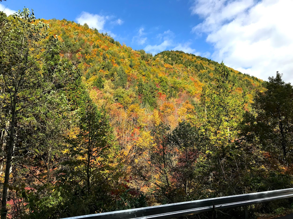 紅葉　荘川村