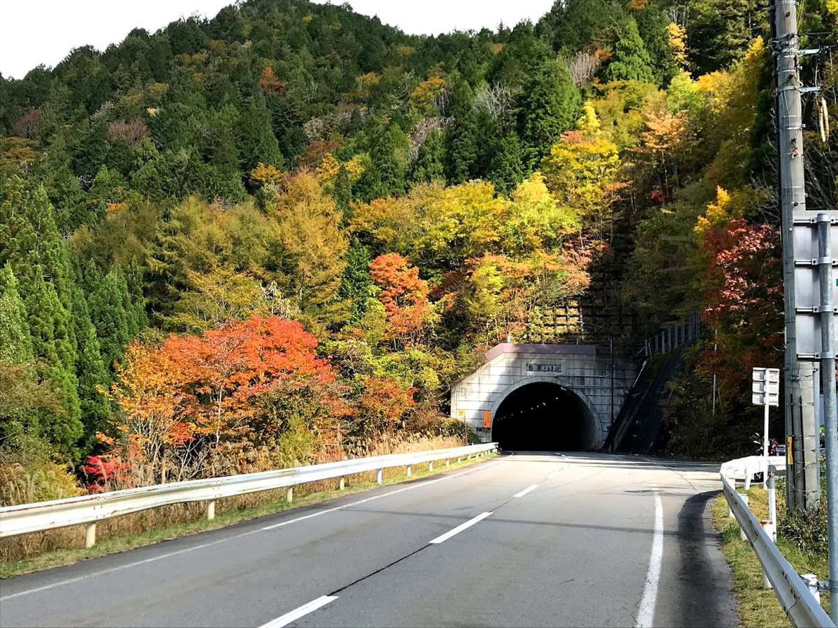 紅葉　荘川村