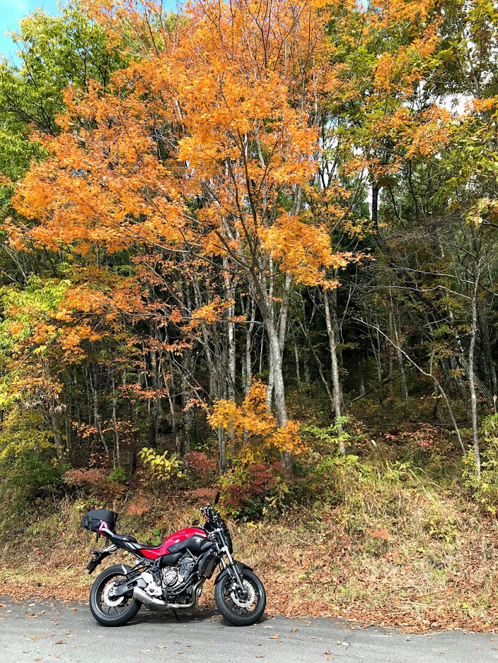 紅葉　荘川村