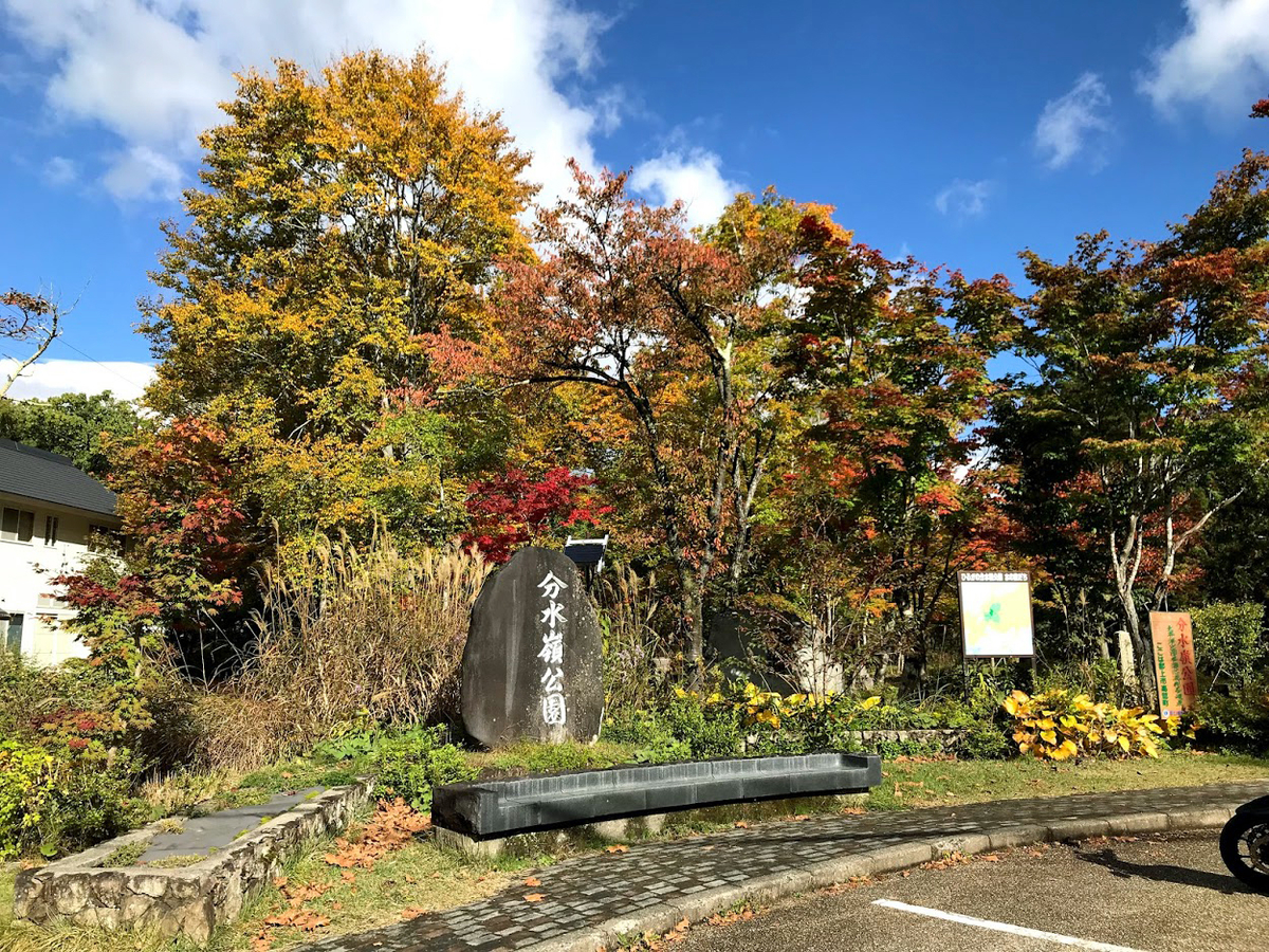 紅葉　ひるがの高原