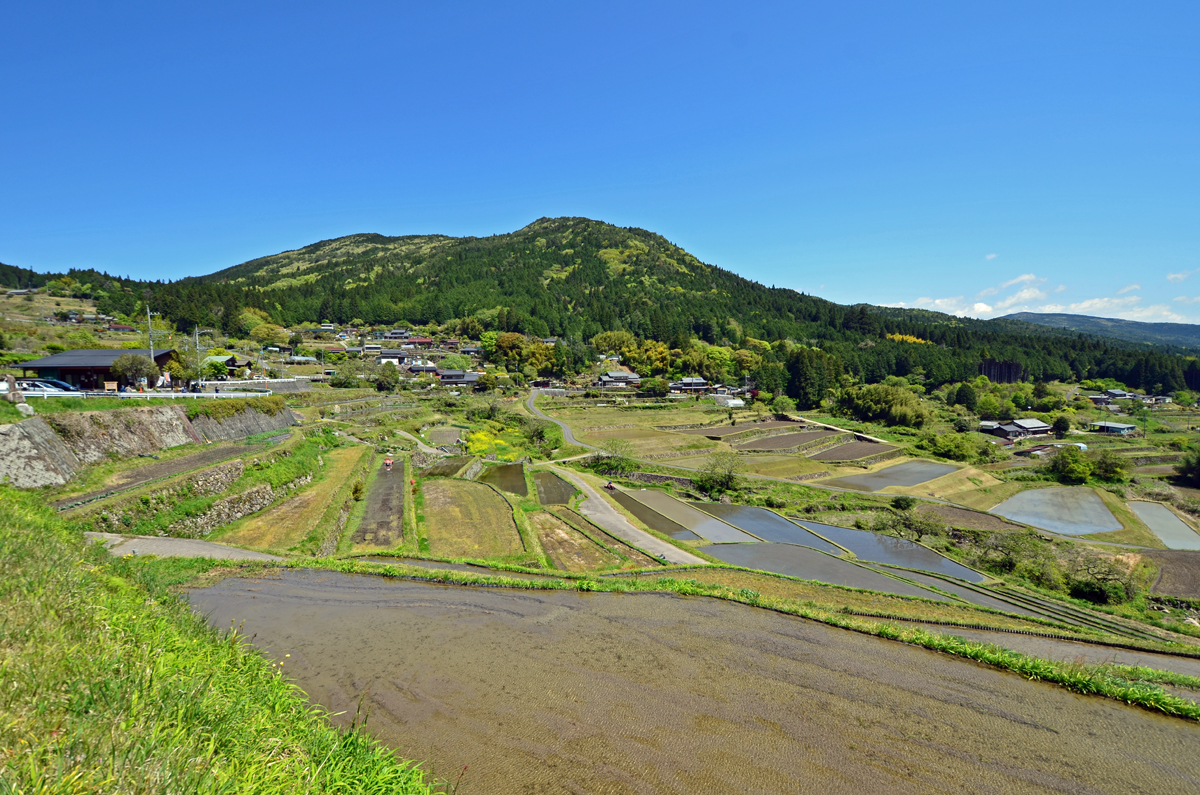 坂折棚田