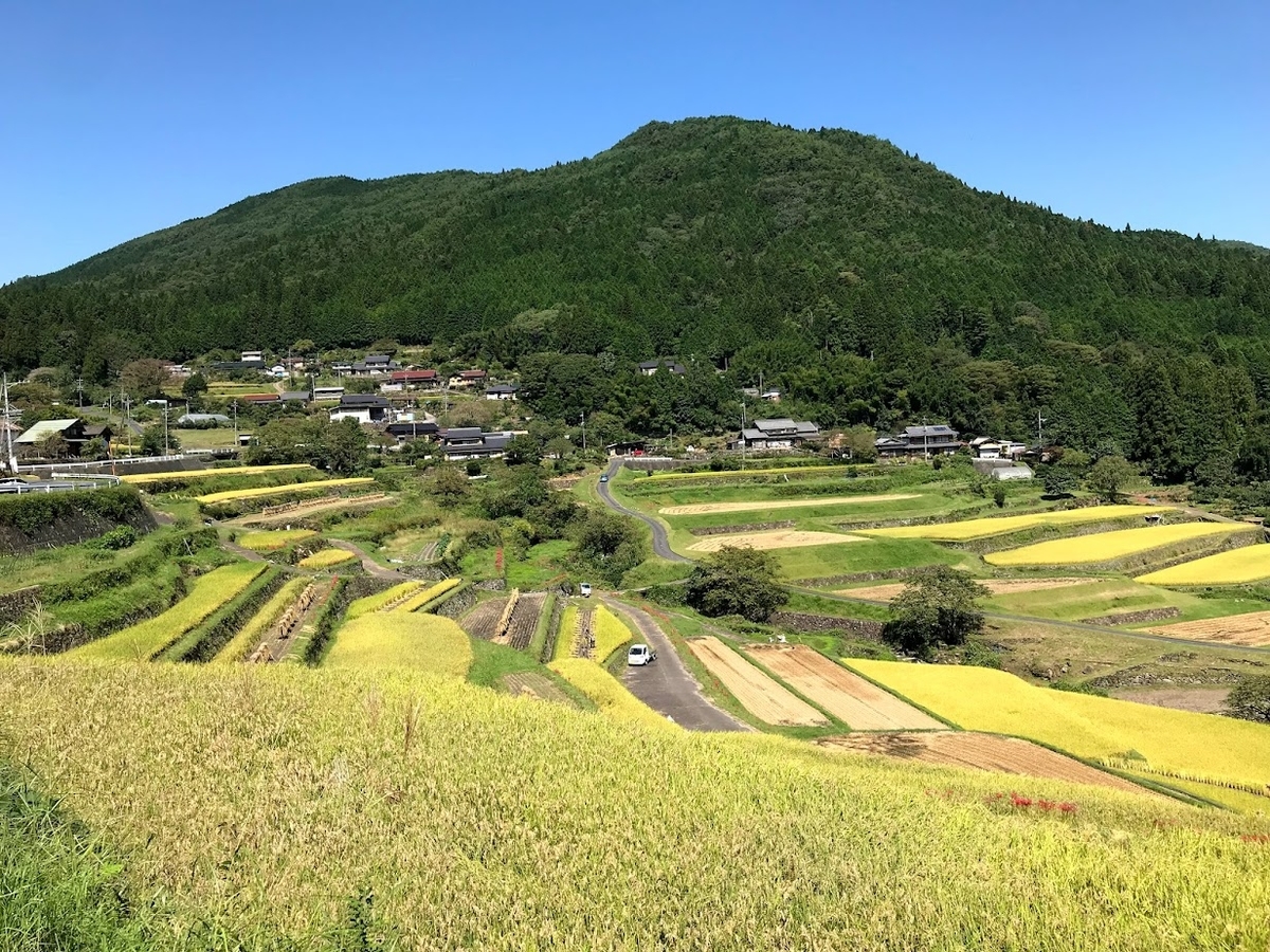 坂折棚田