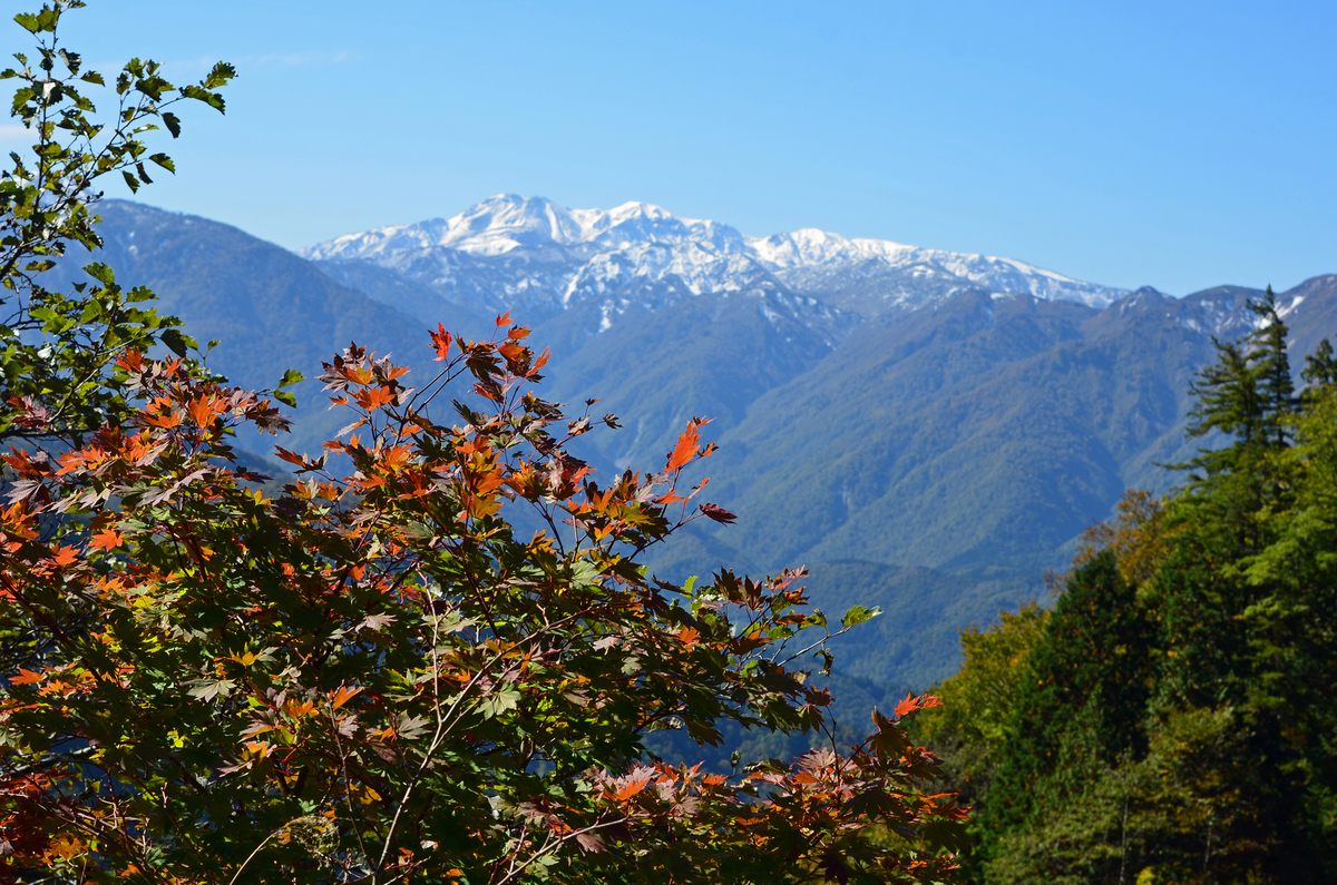 天生峠白山連峰眺望台