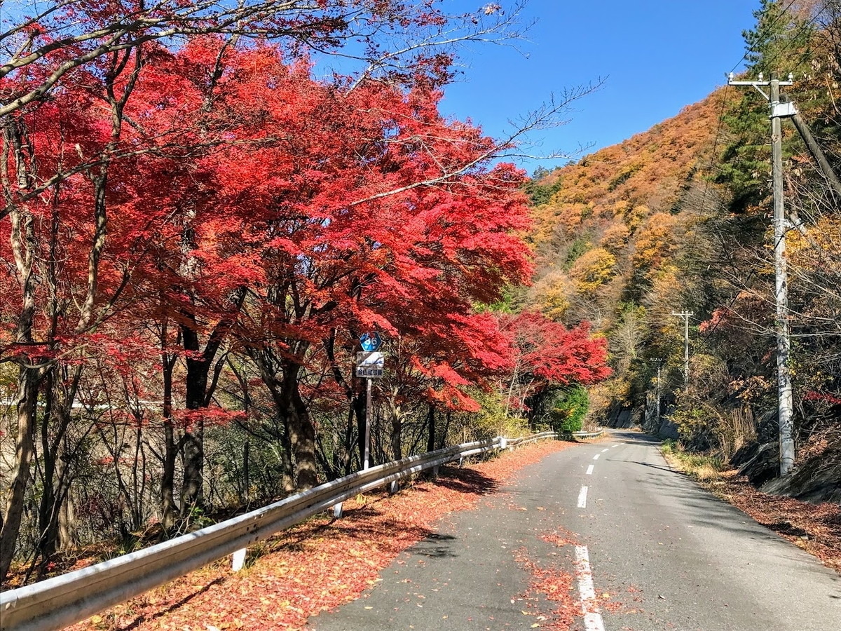 もみじ