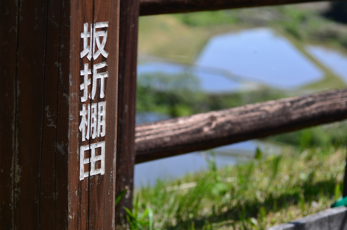 坂折棚田