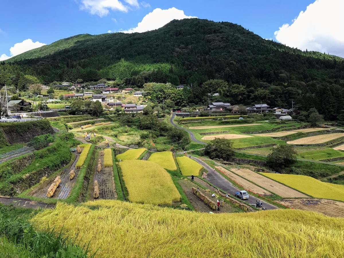 坂折棚田