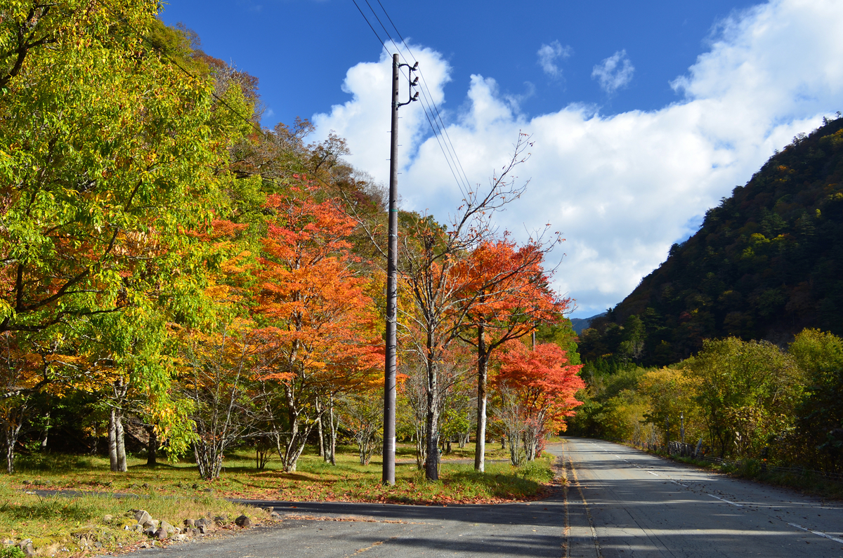 紅葉