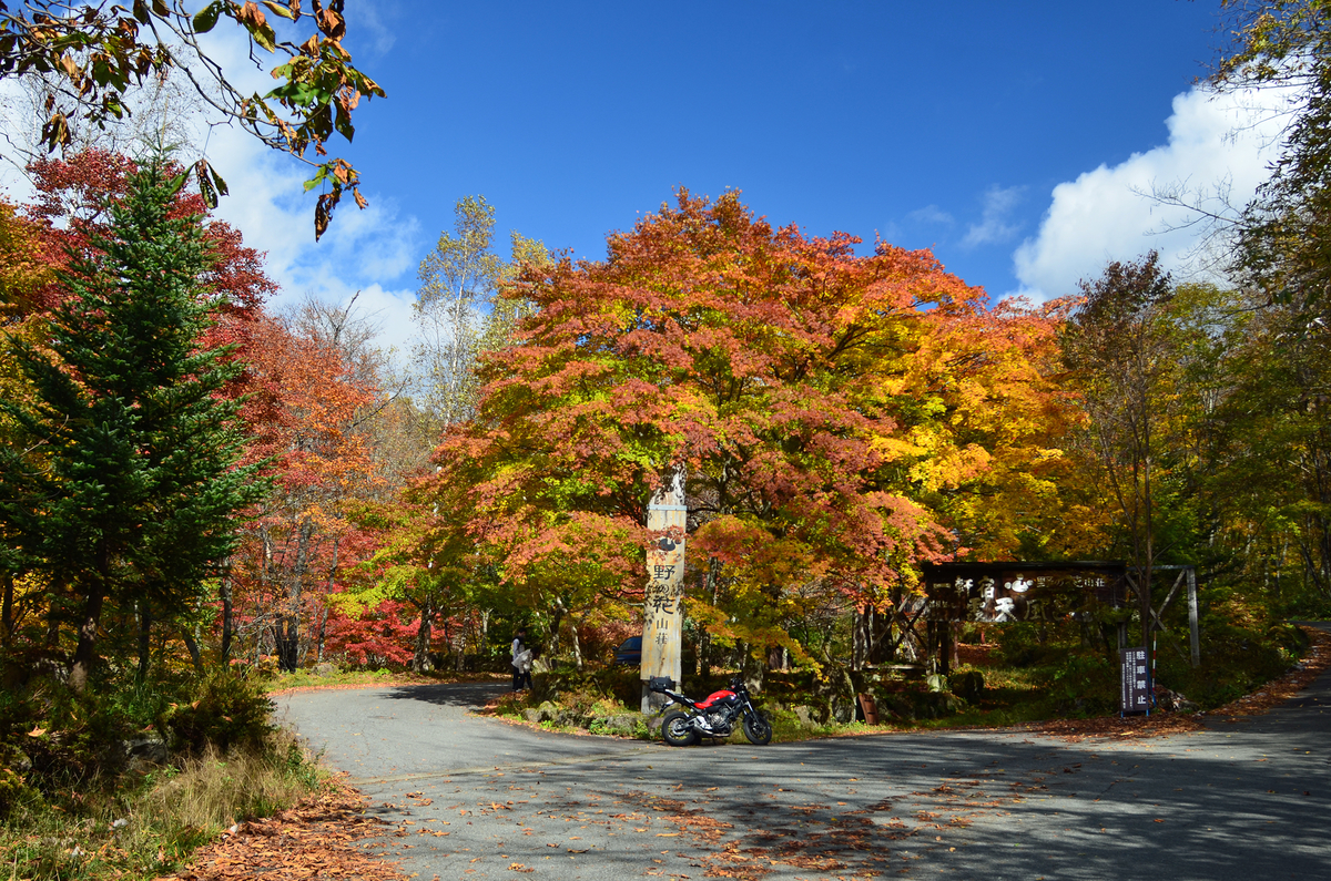 紅葉