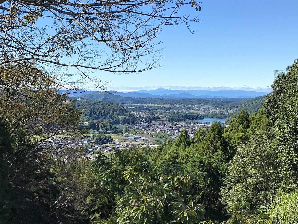 ハヤブサ消防団