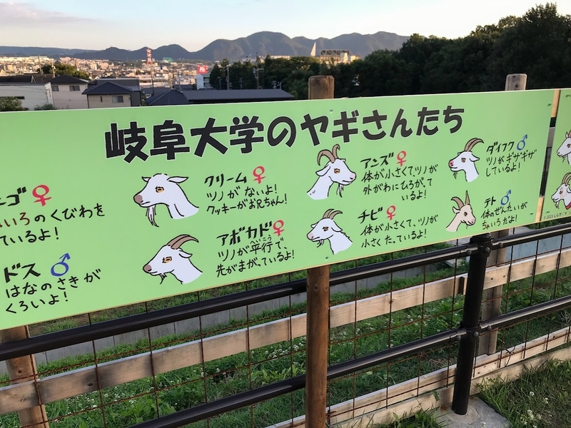 中部国際医療センターでヤギによる除草