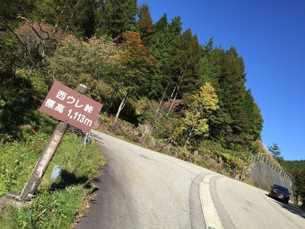 岐阜の夏ツーリングはここが正解｜実際に走って涼しかったルート