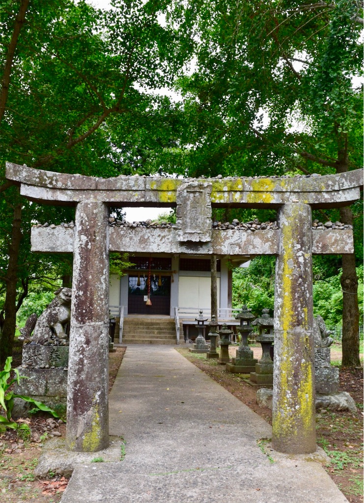 f:id:kumiko7777:20181010192904j:image f:id:kumiko7777:20181010192904j:image