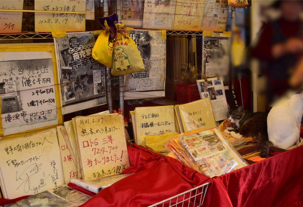 f:id:kumiko7777:20181011111632j:image f:id:kumiko7777:20181011111632j:image