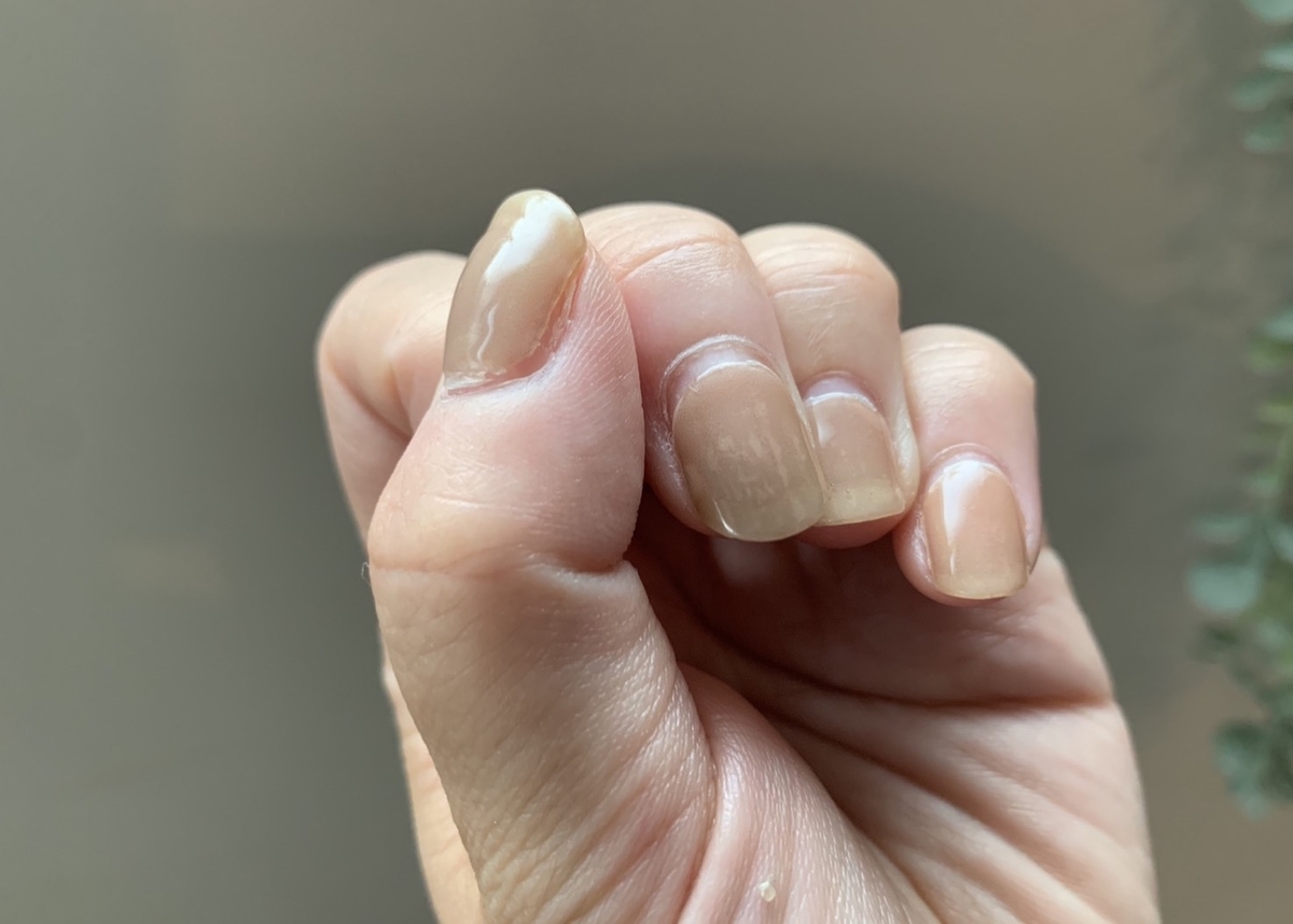 f:id:kumikona:20210721123836j:plain