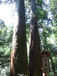 f:id:kumipopo:20120505130911j:image f:id:kumipopo:20120505130911j:image