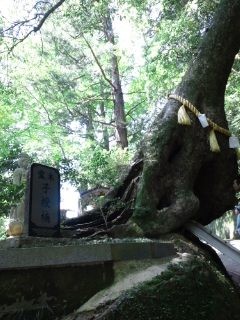 f:id:kumipopo:20120505131044j:image f:id:kumipopo:20120505131044j:image