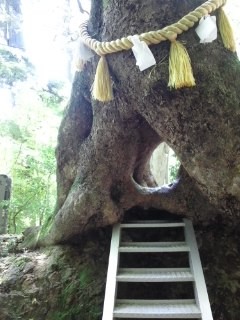 f:id:kumipopo:20120505131249j:image f:id:kumipopo:20120505131249j:image
