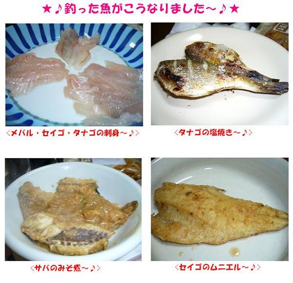 イメージ 7