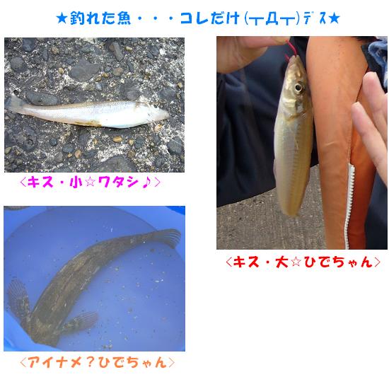 行ってきました、木更津沖堤防～☆ - 手抜きは正義