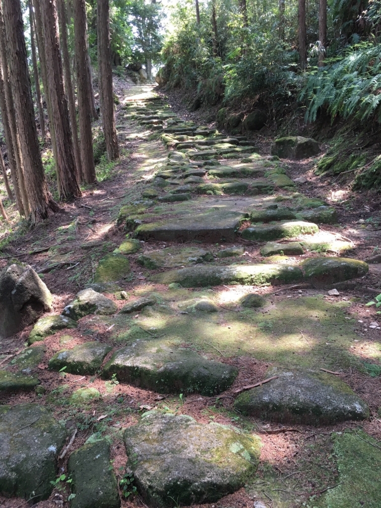 f:id:kumnon:20180708140754j:plain f:id:kumnon:20180708140754j:plain