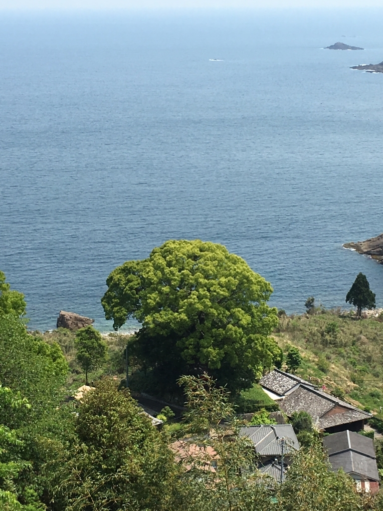 f:id:kumnon:20180708141341j:plain f:id:kumnon:20180708141341j:plain