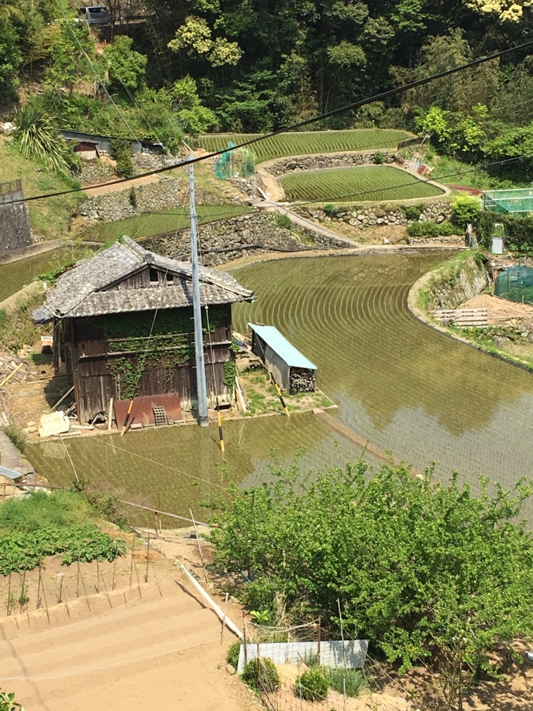 f:id:kumnon:20180708141616j:plain f:id:kumnon:20180708141616j:plain