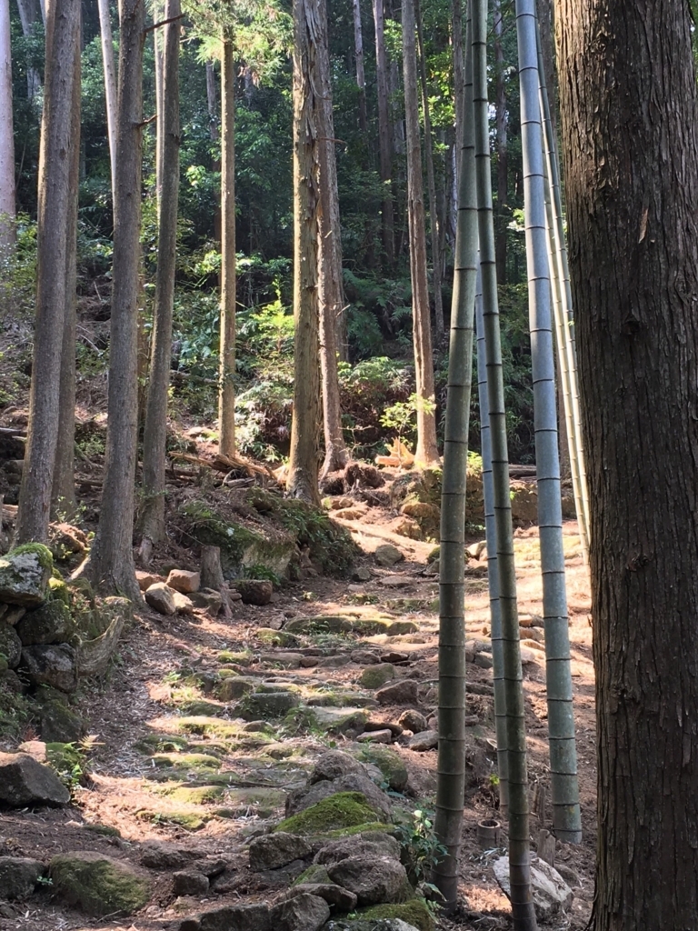 f:id:kumnon:20180708142320j:plain f:id:kumnon:20180708142320j:plain