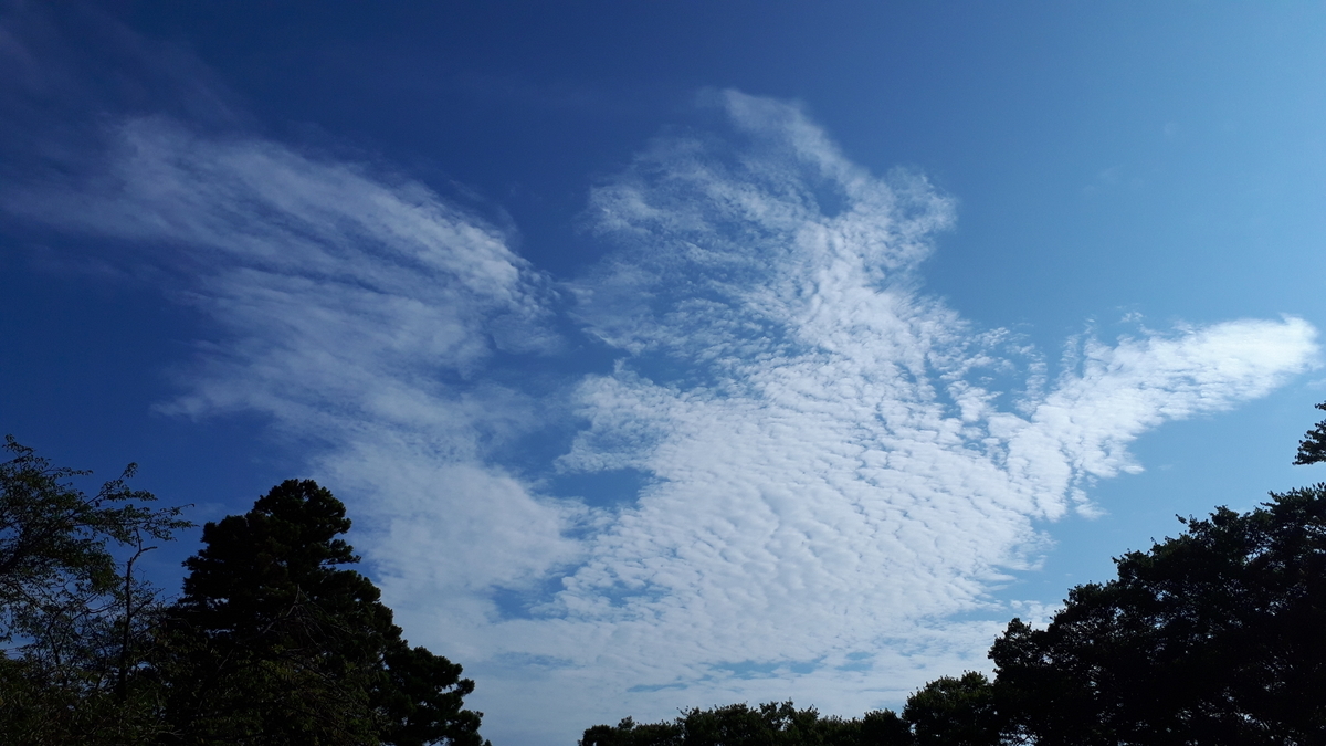 ゴジラ』の雲❔ パート2 - 龍雲写真と幸運の雲