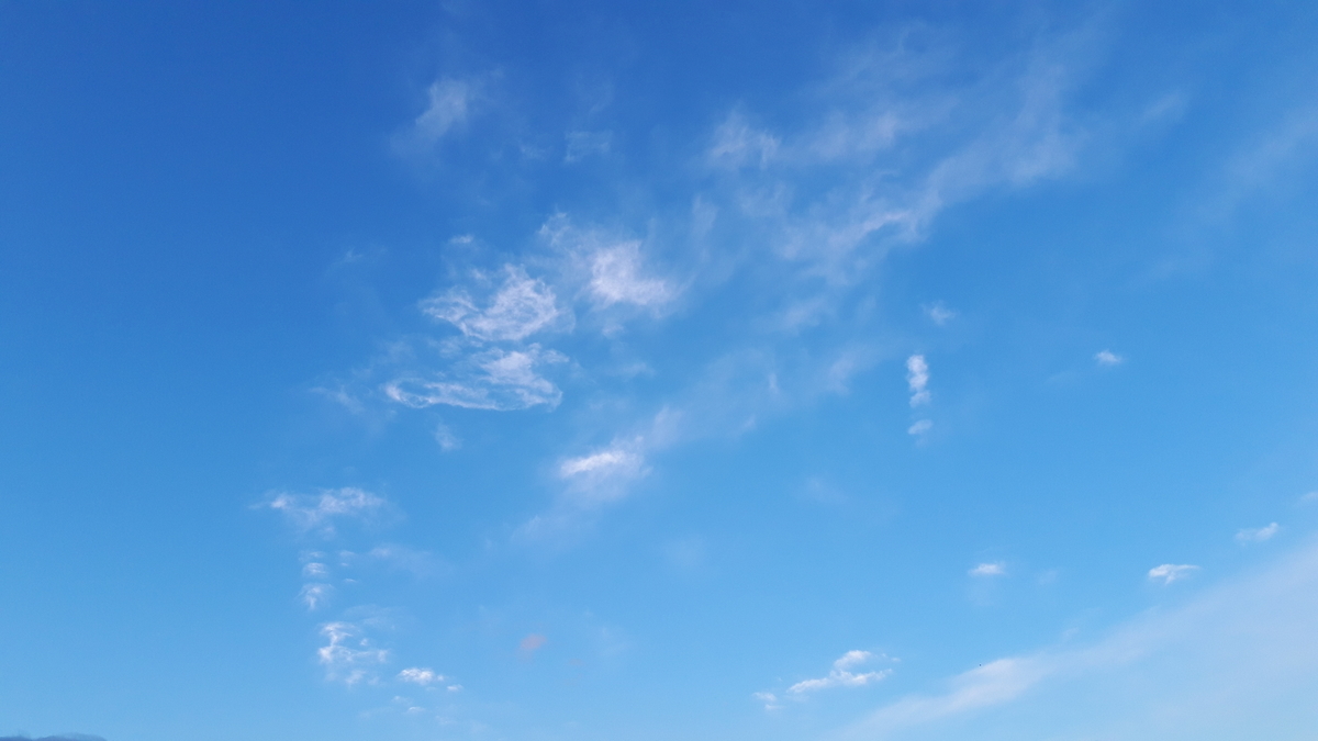 f:id:kumojun:20220125133310j:plain