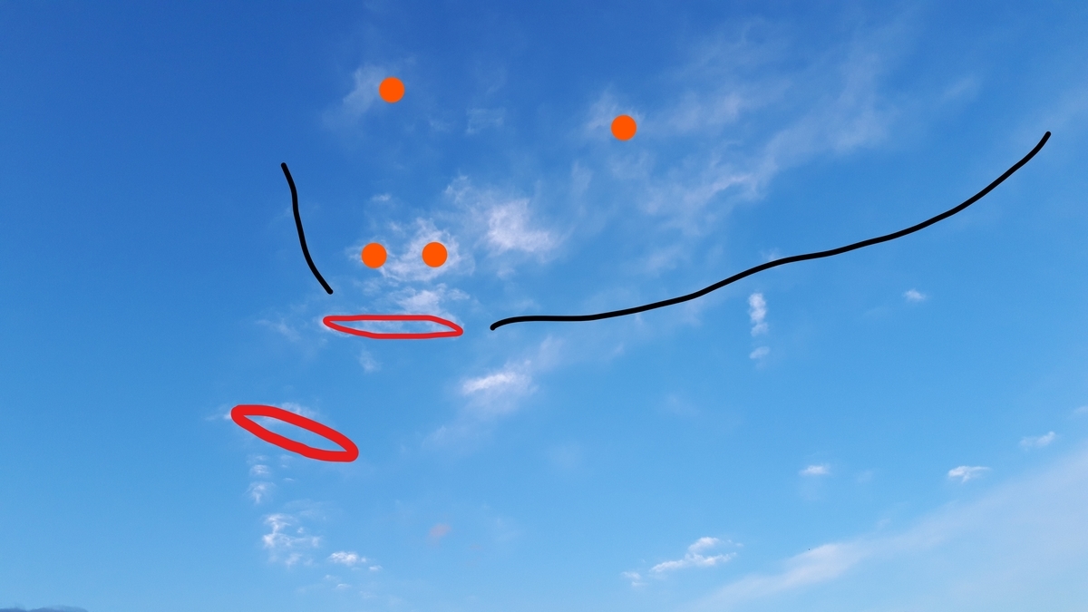 f:id:kumojun:20220125135047j:plain